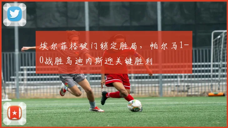 埃尔菲格破门锁定胜局，帕尔马1-0战胜乌迪内斯迎关键胜利