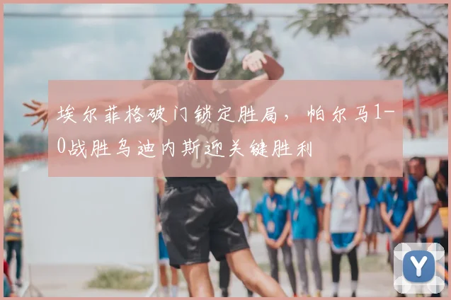 埃尔菲格破门锁定胜局，帕尔马1-0战胜乌迪内斯迎关键胜利