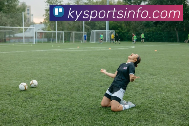 开云体育官网APP 封面图